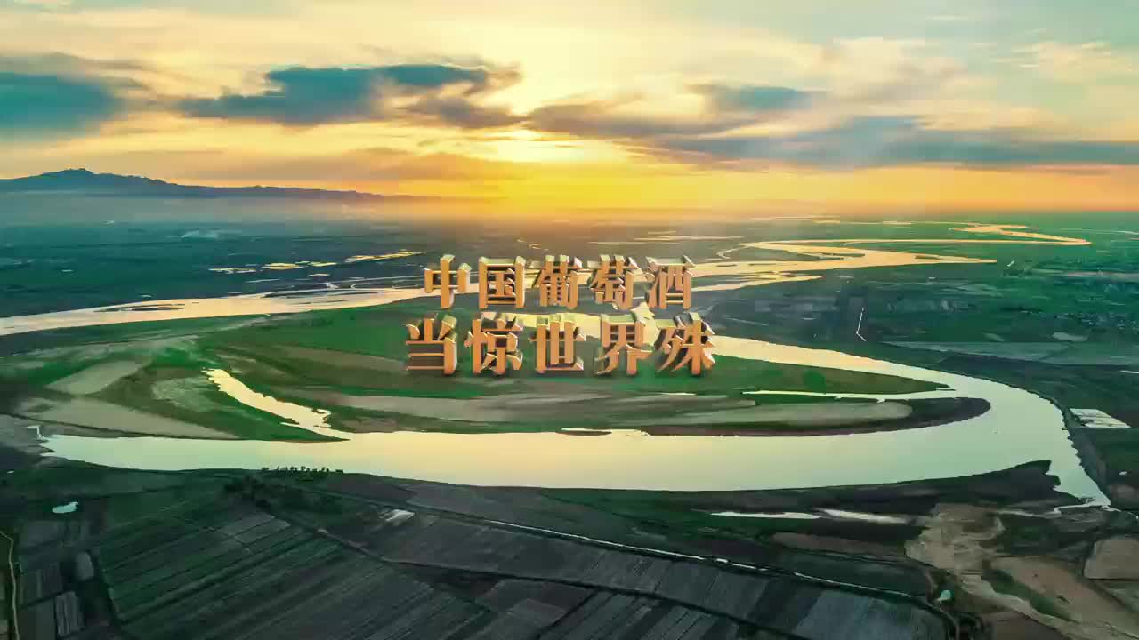 2025贺兰红天籁之夜群星演唱会璀璨启幕_央广网