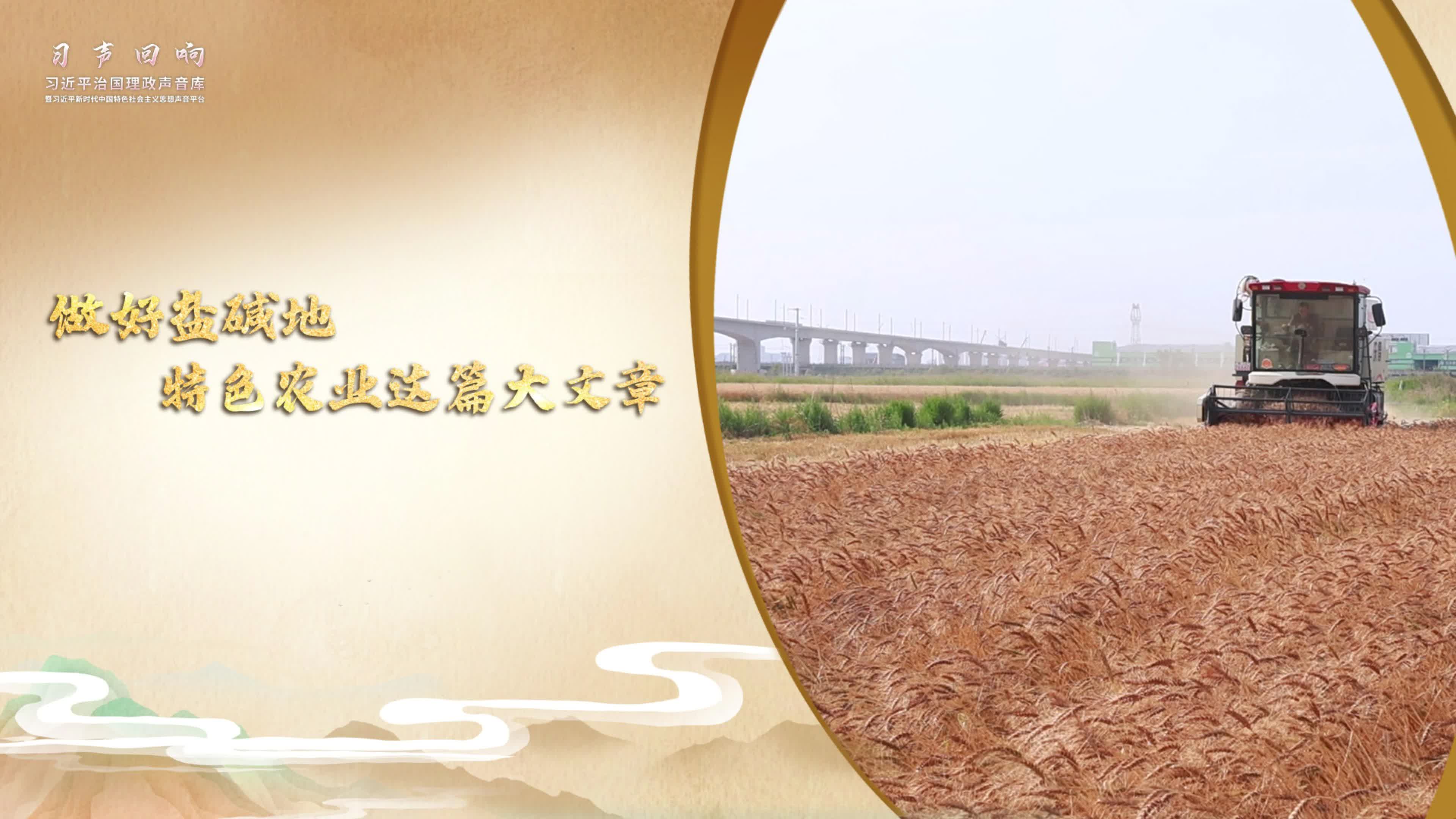 【习声回响】做好盐碱地特色农业这篇大文章