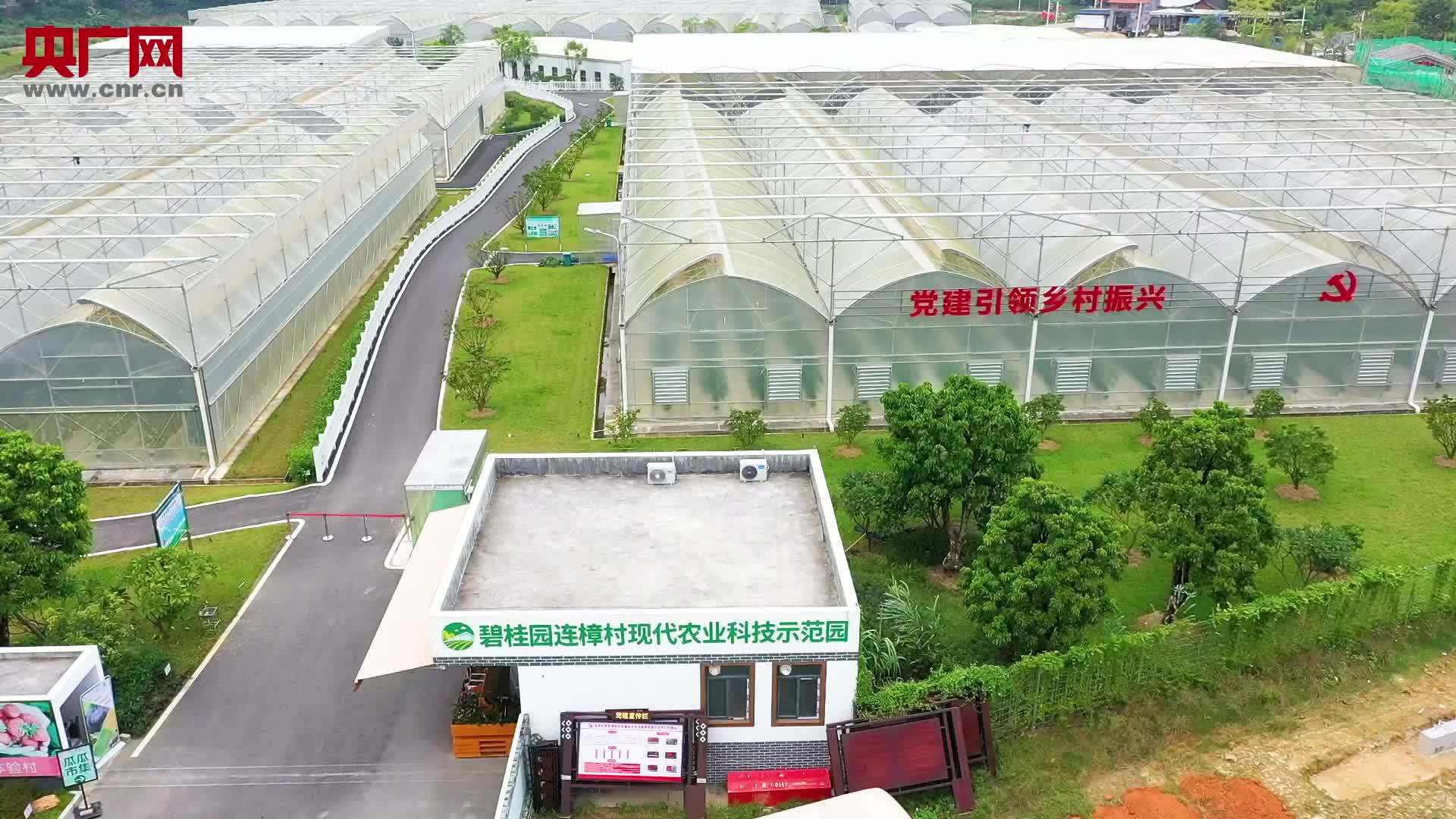 从看天吃饭到学以致用精勤农民陆国建的蜕变之路