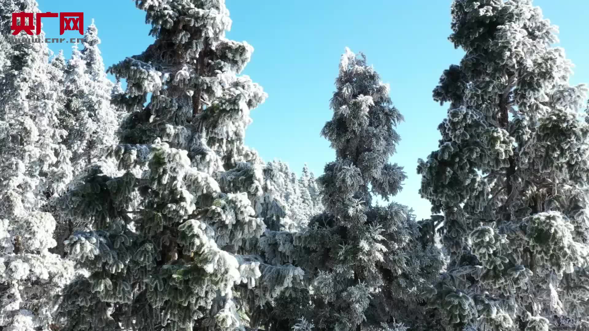 遂川南风面图片